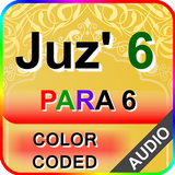 Color coded Para 6 with Audio icon