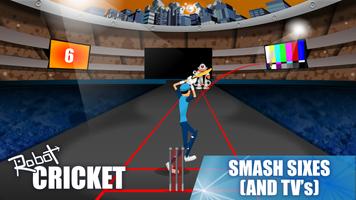 Robot Cricket Ekran Görüntüsü 3