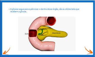 LDMD Biologia: Aprendendo Diabetes tipo 2 capture d'écran 3