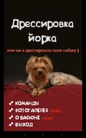 Дрессировка собак и собачек)) ảnh chụp màn hình 1
