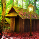 Mystery Forest House Escape APK