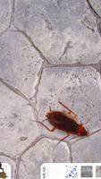 La Cucaracha capture d'écran 1