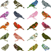 fancy birds APK
