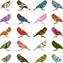 fancy birds APK