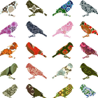 fancy birds icon