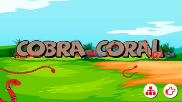 Cobra Coral Affiche