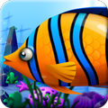 Hungry Piranha Fish
