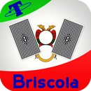 Briscola Treagles APK