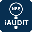 iAudit APK