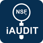 iAudit آئیکن