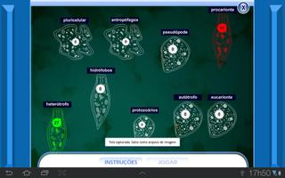 Reino Protista screenshot 2