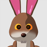 the Tortoise and the Hare Race