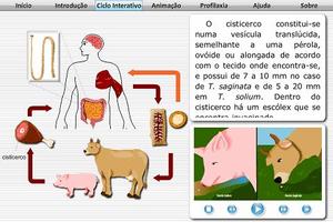 Teníase e Cisticercose ảnh chụp màn hình 1