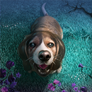 Lucy the Dog - Part 1 APK
