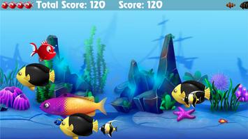 Frenzy Piranha Fish World Game captura de pantalla 2