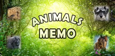 Animals Memo