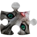 Cats puzzle (jigsaw) APK