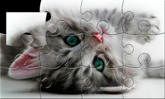 Pussycat, chaton, chat Puzzle Affiche