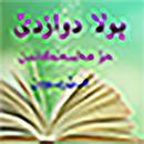 pola12 APK