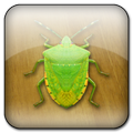 StinkBugs