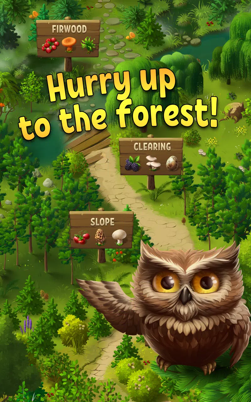 Forest Bounty — collect & cook
