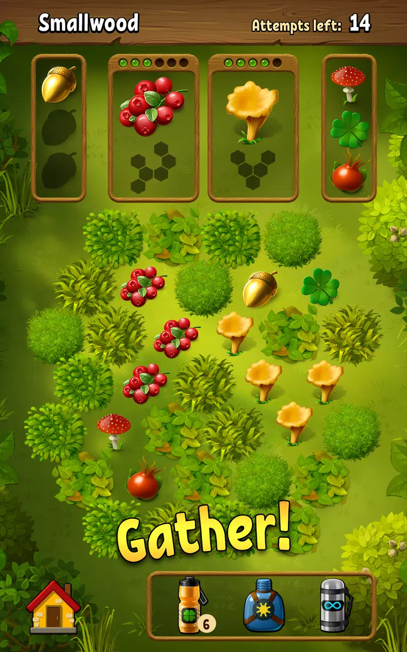Forest Bounty — collect & cook