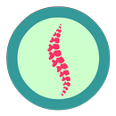 Scoliosis Advice APK