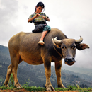 Slide Puzzle People of Culture aplikacja