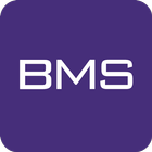 BMS Token иконка