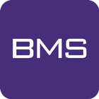 BMS Token icône