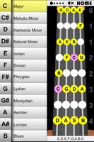 2 Schermata Orchestral Strings 60 Scales