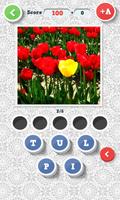 Devinez quoi? fleurs capture d'écran 3
