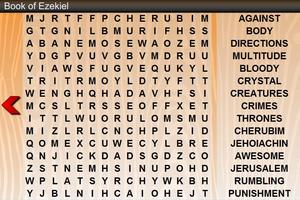 Word Search Bible Cartaz