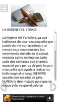 El Yorkshire Terrier ภาพหน้าจอ 1