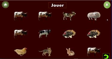 Les animaux sauvages et les animaux domestiques الملصق