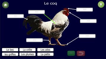 Apprendre les organes des anim poster