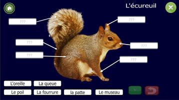 Apprendre les organes des anim screenshot 1