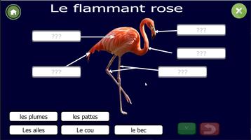 Apprendre les organes des anim screenshot 2