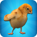 Chick Simulator APK
