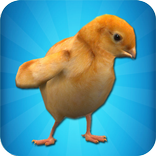 Chick Simulator
