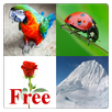 Learn English Words Free APK