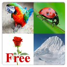 Learn English Words Free icon