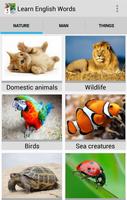 Poster Learn English Words