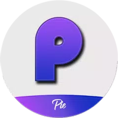 Pie Launcher and themes