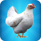 My Chicken Simulator icône