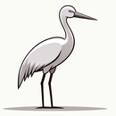 Tweey APK
