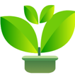 Plants Watering icon