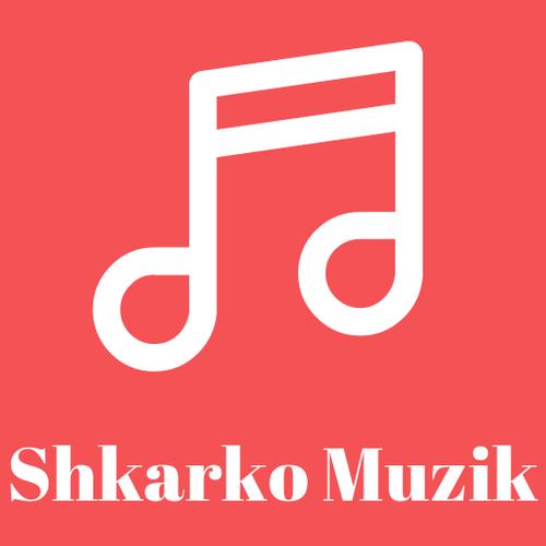 Muzik Shqip pa internet APK for Android Download