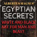ALBERTUS MAGNUS: EGYPTIAN SECRETS APK