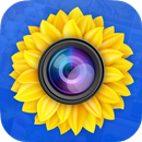 Gallery Vault APK